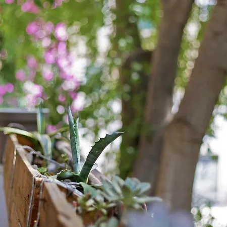 Tchaikovsky Hostel *