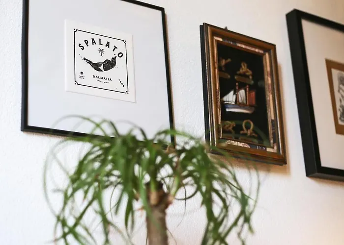 Tchaikovsky * Сплит