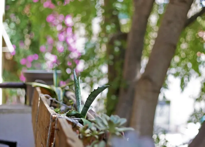 Tchaikovsky Ostello *